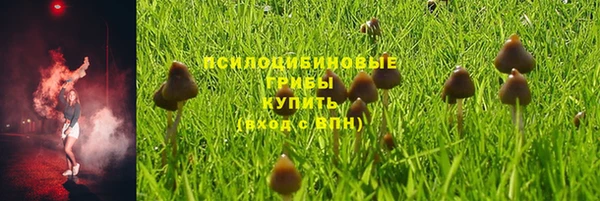 бошки Надым
